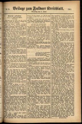 Zweite Ausgabe vom Dienstag, den 04. Juni 1901.