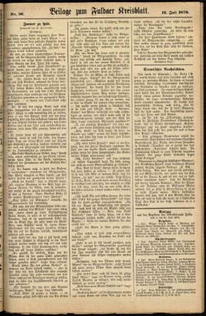 Zweite Ausgabe vom Samstag, den 12. Juli 1879.