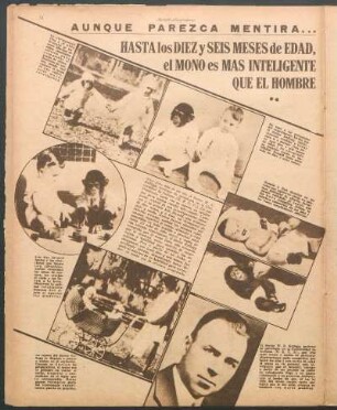 Aunque parezca mentira... [Fotografías] : Hasta los diez y seis meses de edad, el mono es más inteligente que el hombre