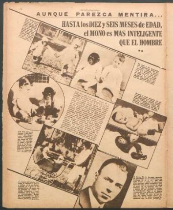 Aunque parezca mentira... [Fotografías] : Hasta los diez y seis meses de edad, el mono es más inteligente que el hombre