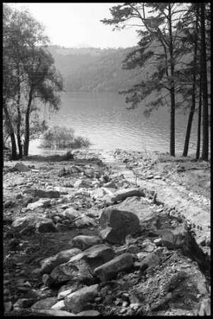 Millstatt: Unwetterkatastrophe Millstatt, Muren am See, mit Bäumen