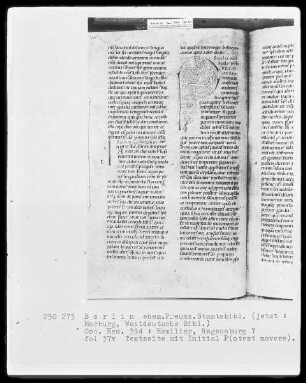 Homiliarium — Initiale P(otest movere), Folio 37verso