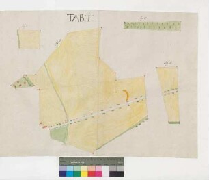 Grundrisse über die früher bronnbachischen, nun löwensteinischen Zehntdistrikte zu Großrinderfeld (Inselkarte)