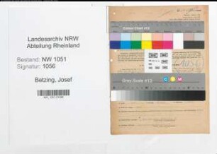 Entnazifizierung Josef Betzing , geb. 01.03.1902 (Steuerberater)
