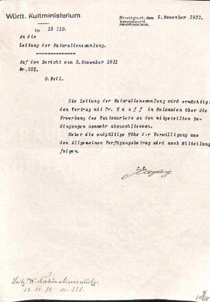 Schreiben Kultministerium zur Bemächtigung der Direktion der Naturaliensammlung den Kauf des "Hautsaurier" abzuschließen