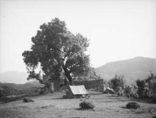 Zeltlager : Blick auf ein Zelt auf einer Ebene vor einem Haus
