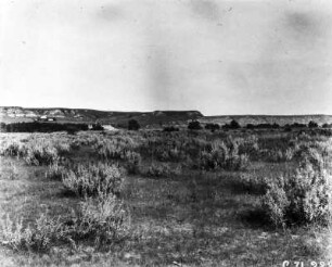 Steppe : Steppe bei Medora (North Dakota). Im Bildhintergrund einige Felsen und Felsformationen.