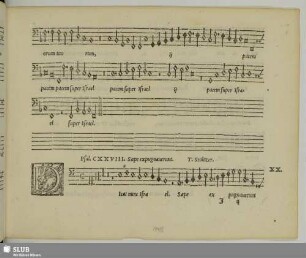 XX. Stoltzer, Thomas: Saepe expugnaverunt me