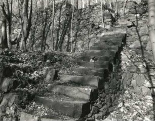 Radebeul, Augustusweg 110. Park der Villa "Jägerberg". Treppe und Mauern eines ehemaligen Weinberges