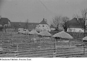 Freigehege mit Ställen