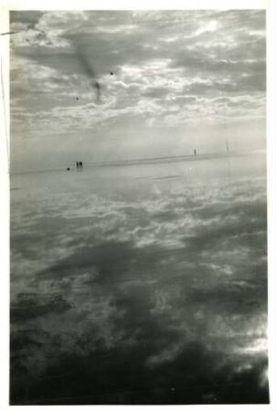 Kurische Nehrung