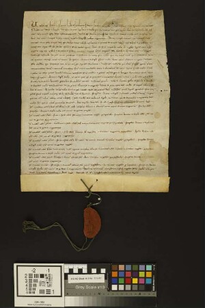 Mainz (Mariengreden): Promissio omnium Eccles. civitatis Mog. in et extra muros participationis meritorum suorum largientibus elecmosynam pro rest...