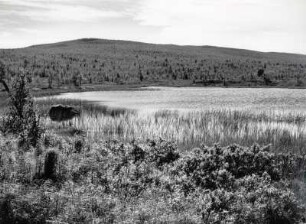 Seenlandschaft