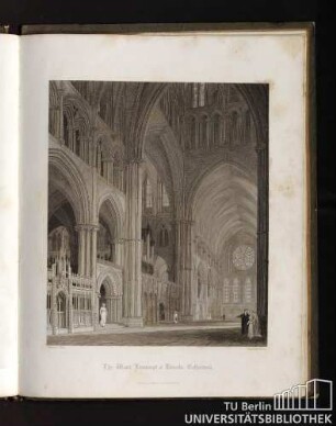 Plate 8. The west transept of Lincoln Cathedral.