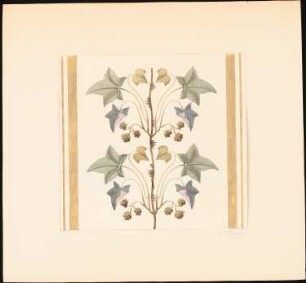 Dekorationsstudien: Vegetabiles Ornament