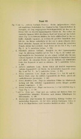 [Erläuterungen zu] Tafel III