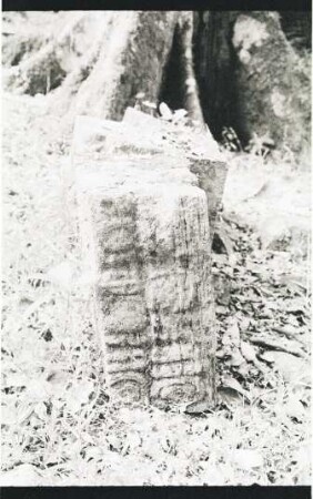 El Peru, Stela 39 (PRU: St. 39)