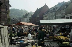 Freiburg i. Br.: Münsterplatz: Marktszenen