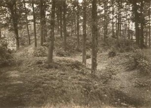 Sorbenschanze westlich von Ziegra, Wallseite von innen