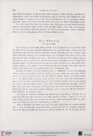 Der Chirurg von van der Neer