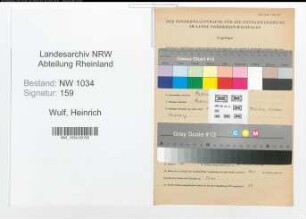 Entnazifizierung Heinrich Wulf , geb. 01.03.1904 (Stabsintendant)