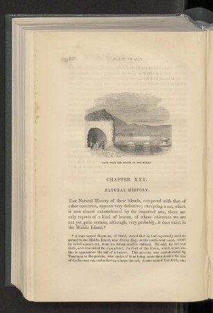 Chapter XXV. Natural history.