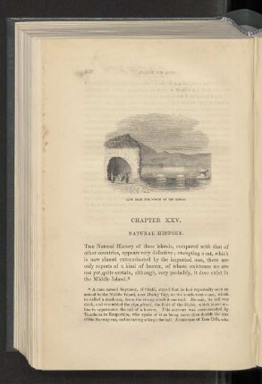 Chapter XXV. Natural history.