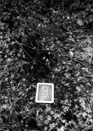Grabstein 9 [Nir S. 31 Nr. 1.05]