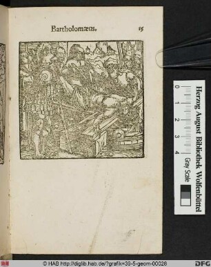 Bartholomaeus.