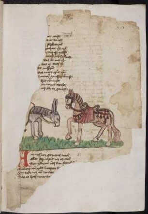 Pferd mit prächtigem Zaumzeug verspottet den bepackten Esel; (Vom Pferd und dem Esel, Kapitel LI nach Pfeiffer)