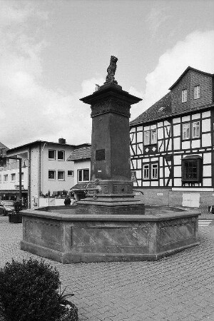 Brunnen; Usingen, Wilhelmjstraße (B275)