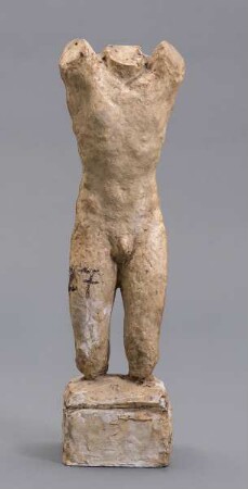 Torso Inder