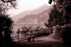Bellagio: Seeblick von bewachsener Promenade