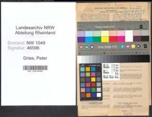 Entnazifizierung Peter Gries , geb. 05.02.1902 (Volkswirt)