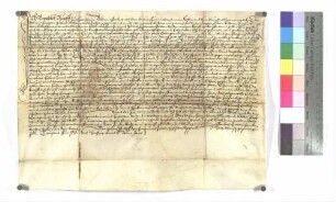 Verkauf eines Kloster Wiblingischen Erbguts zu Hüttisheim (Benedikt Ruoff)