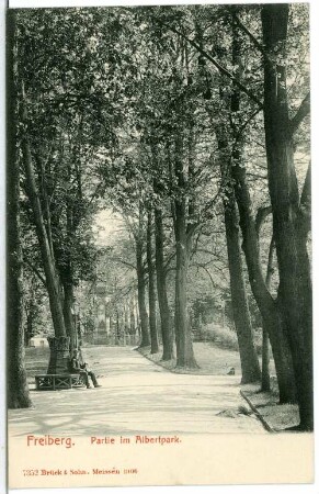 Freiberg. Albert-Park