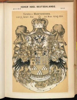 Taf. 53. Fürsten v. Montenuovo.