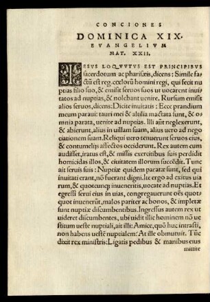 Dominica XIX. Evangelium Matt. XXII.