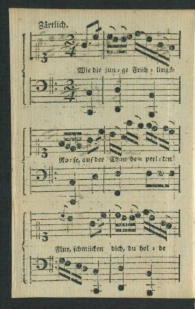 An Lottchen