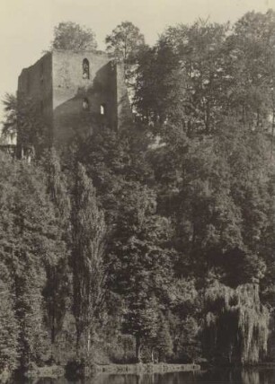 Burg Tharandt, Blick vom Tal auf die Ruine