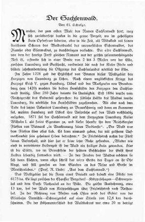 Der Sachsenwald.