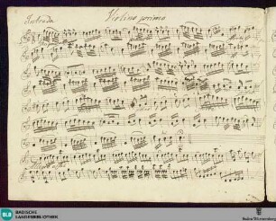 Symphonies. Fragments - Mus. Hs. 1020 : C; BrinzingMWV 7.5