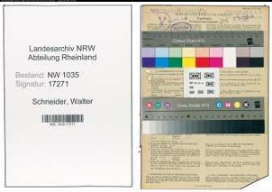 Entnazifizierung Walter Schneider , geb. 08.04.1909 (Baufuehrer)
