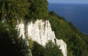 Insel Rügen - Kreidefelsen : Kreidefelsen auf der Insel Rügen. Aufgenommen 2001