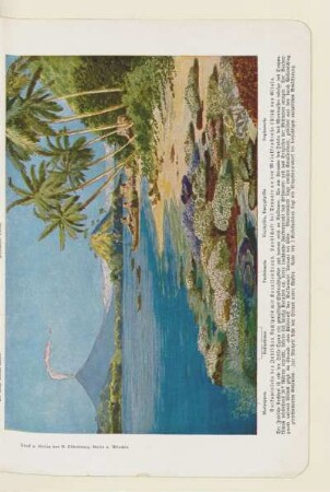 Vulkaninseln des Indischen Archipels mit Korallenstrand. Landschaft bei Ternate an der Molukkenstraße östlich von Gilolo