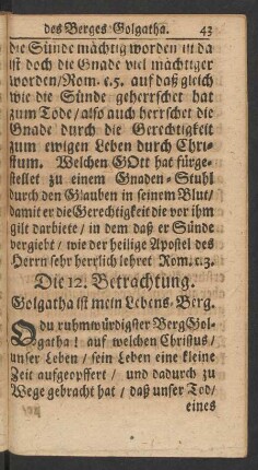 Die 12. Betrachtung. Golgatha ist mein Lebens-Berg.