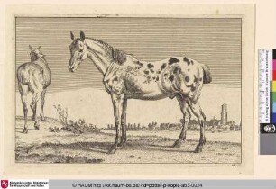 [Zwei Pferde mit beschnittenen Schweifen; The Cropped Horses]