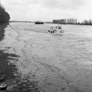 Rheinhochwasser.