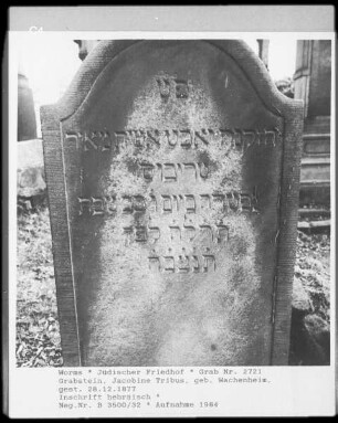 Grabstein von Jacobine Tribus, geborene Wachenheim (gestorben 1877.12.28)