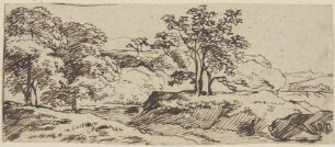 Landschaft mit Bäumen